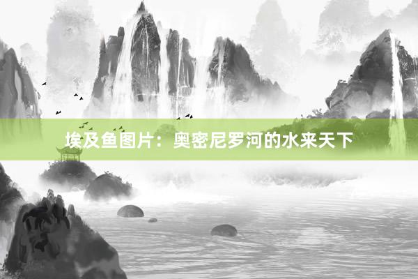 埃及鱼图片：奥密尼罗河的水来天下